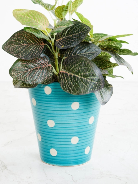 

Home Centre Teal & White Printed Soulful India Ceramic Planter