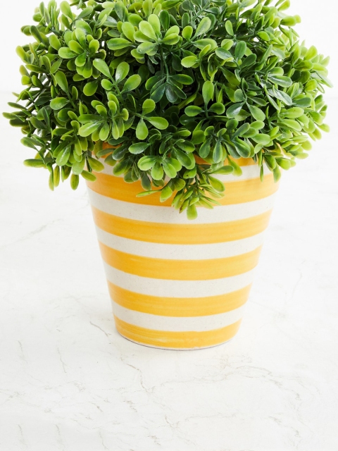 

Home Centre Yellow & White Striped Round Shape Planter
