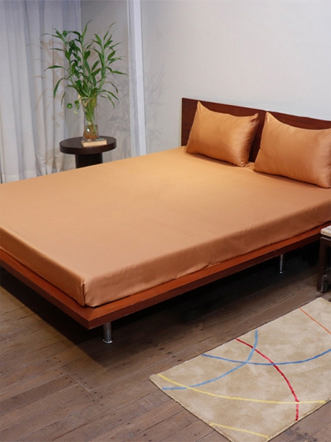 

ZEBA Mustard 300 TC King Solid Bed Sheet with 2 Pillow Covers