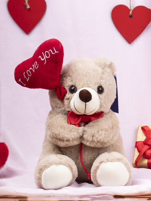 

MARKET99 Cream & Red Valentine Teddy Bear Soft Toy