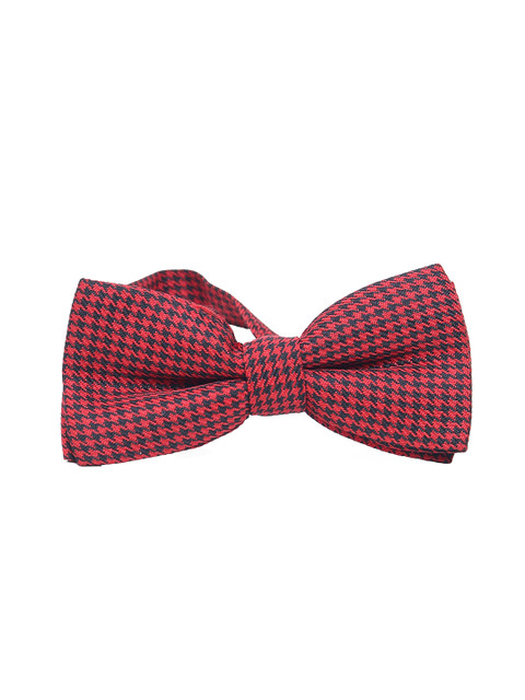 

Calvadoss Men Red & Blue Woven Design Bow Tie