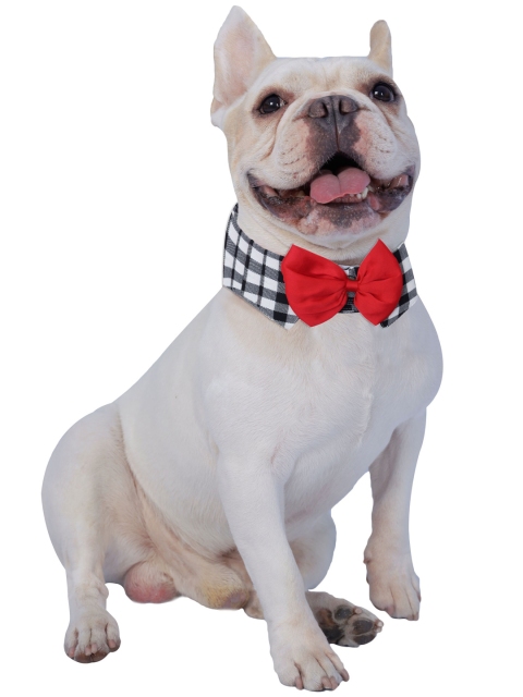 

Dchica Paws Dogs & Cats Black Debonair Dude Checks & Red Bow Collar