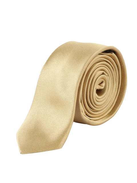

Alvaro Castagnino Men Gold-Toned Solid Skinny Tie