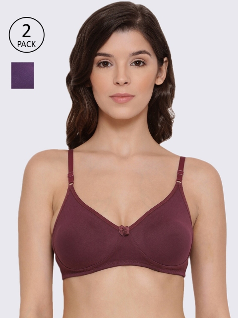 

LYRA Pack of 2 Violet & Burgundy T-shirt Bras