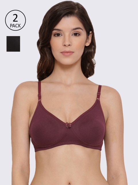 

LYRA Black & Burgundy Solid Pack Of 2 Non Padded T-Shirt Bra