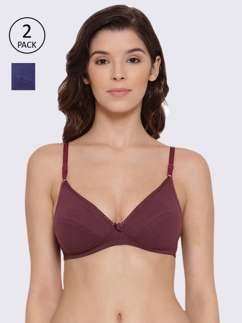 

LYRA Pack of 2 Blue & Maroon T-shirt Bra