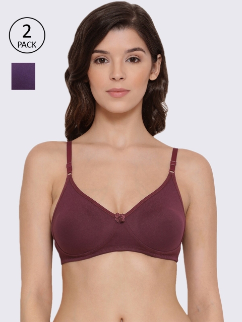

LYRA Pack Of 2 Violet & Burgundy Bras