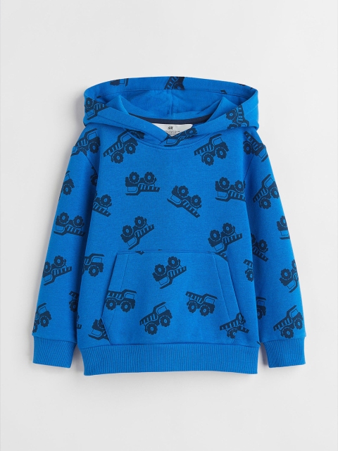 

H&M Boys Blue Printed Hooded Top