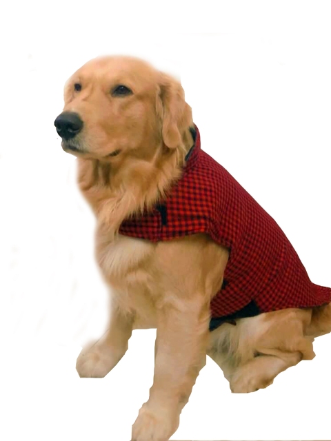 

Dchica Paws Red & Black Checked Reversible Dog & Cat Tuxedo Jacket