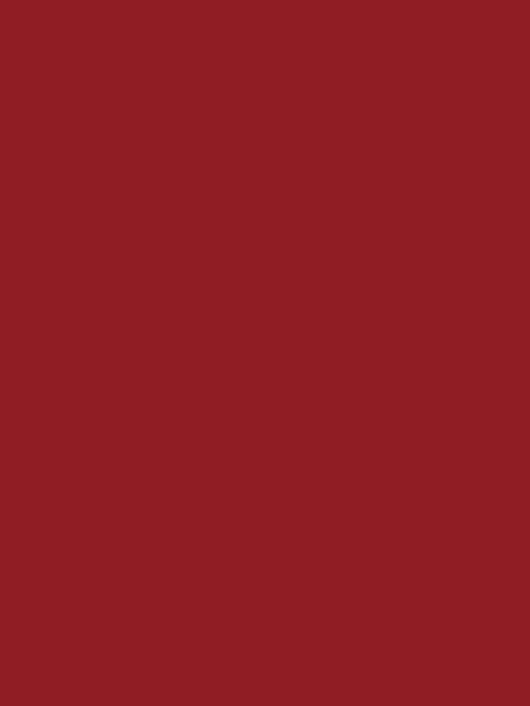 

CUFFS N LASHES Lets Go Tinting Lip Cheek & Eyes Tint - Too Hot 09, Red