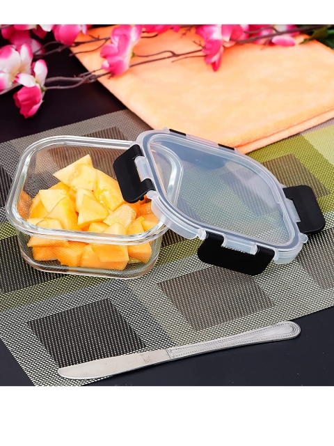 

Femora Transparent Glass Lunch Box 300 ML