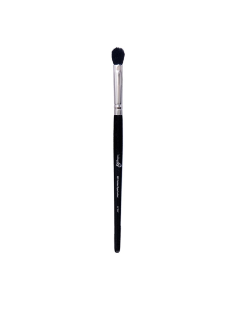 

london pride cosmetics Black HD Pointed Eyeshadow Brush