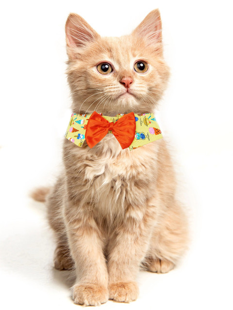 

Dchica Paws Yellow & Blue Printed Cat Collar With Bow