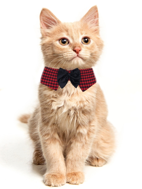 

Dchica Paws Red & Black Checked Pet Collars