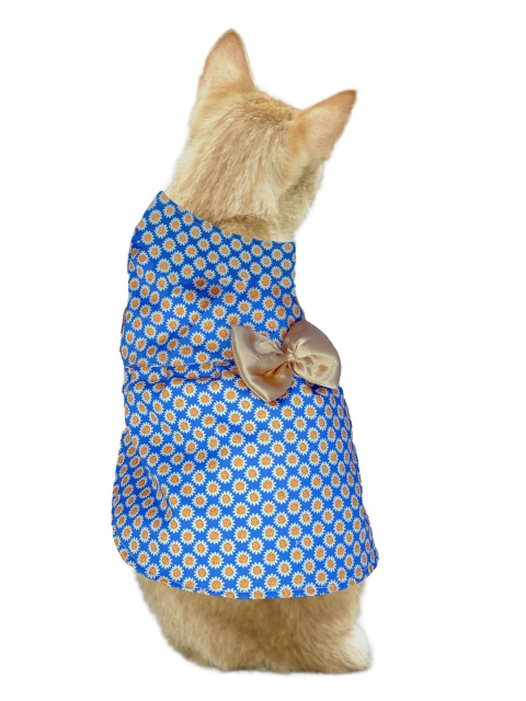 

Dchica Paws Blue & Yellow Printed Cotton Cat Dress