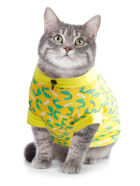 

Dchica Paws Yellow & Sea Green Printed Cotton Cat T-shirt