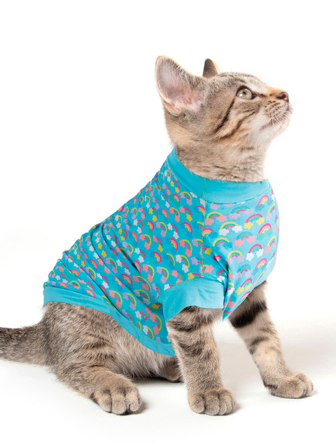 

Dchica Paws Blue Rainbow Printed Cotton Cat T-shirt