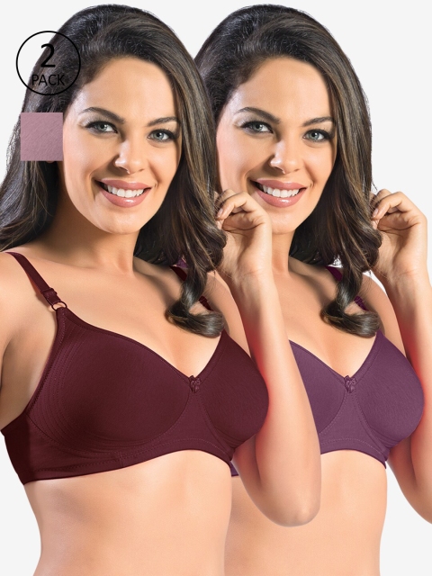

Sonari Maroon & Purple Pack Of 2 Non-Padded Minimizer Bra