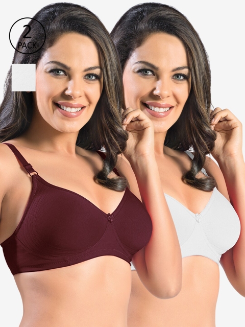 

Sonari Maroon & White Set Of 2 Bra