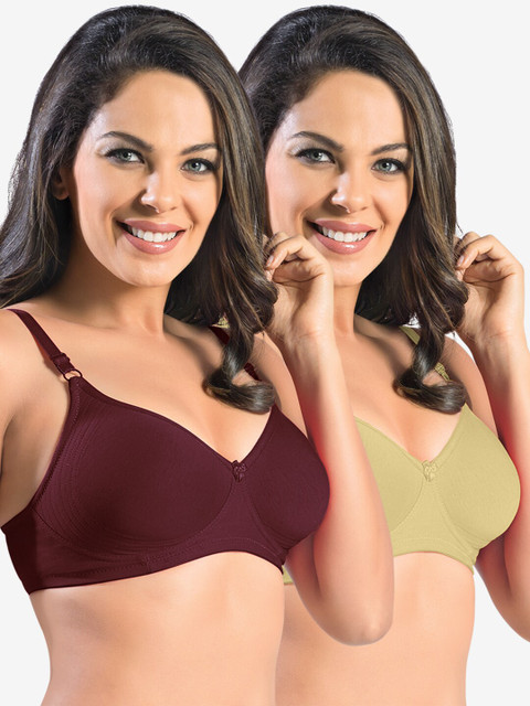 

Sonari Maroon & Nude-Coloured Non Padded Bra