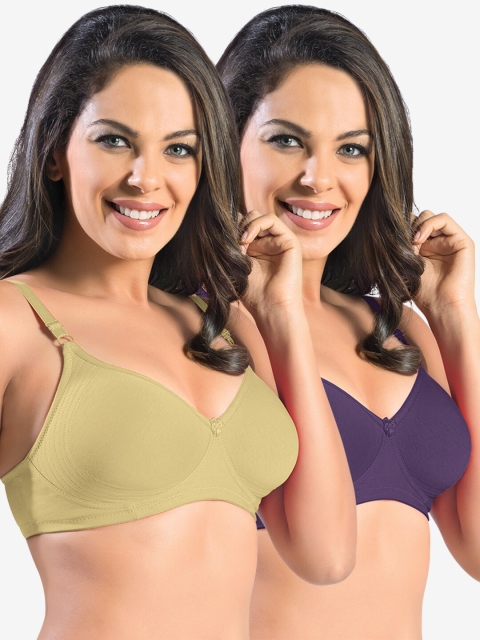 

Sonari Nude & Purple Non Padded Bra