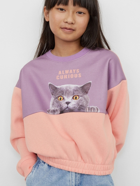 

H&M Girls Purple Printed Sweatshirt