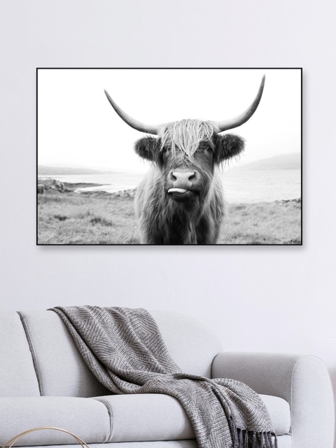 

WALLMANTRA Grey Highland cattle Framed Canvas Wall Painting