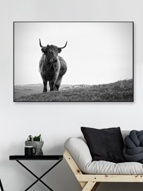 

WALLMANTRA Grey Highland Cow Photography Framed Canvas Wall Painting