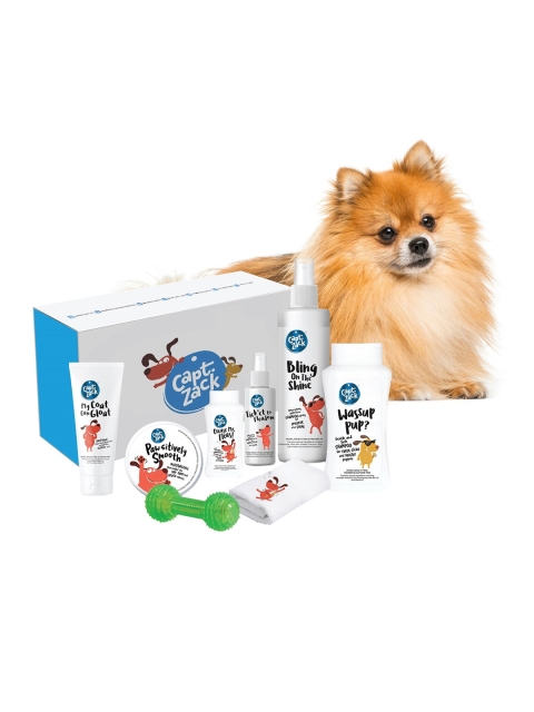 

Captain Zack White The Spitz Dog Groom Kit