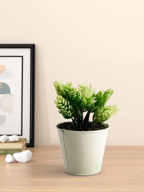 

Living scapes by Pantaloons White Artificial Flowers and Plants