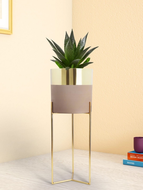 

Living scapes by Pantaloons Pink & Gold-Toned Solid Metal Planter