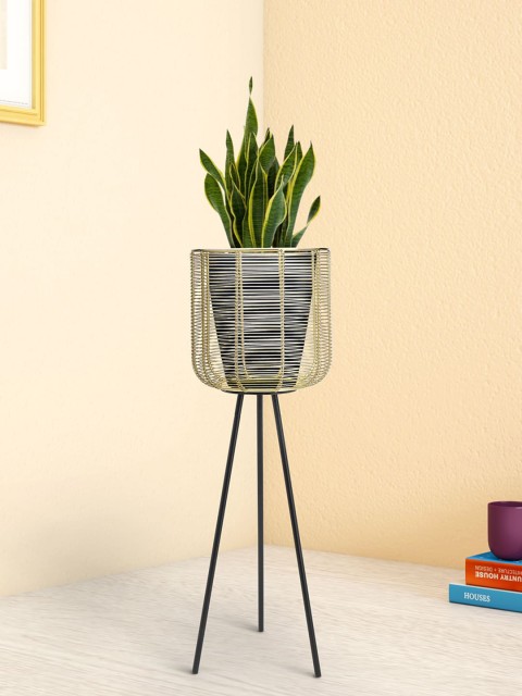 

Living scapes by Pantaloons Gold-Toned Solid Metal Planter