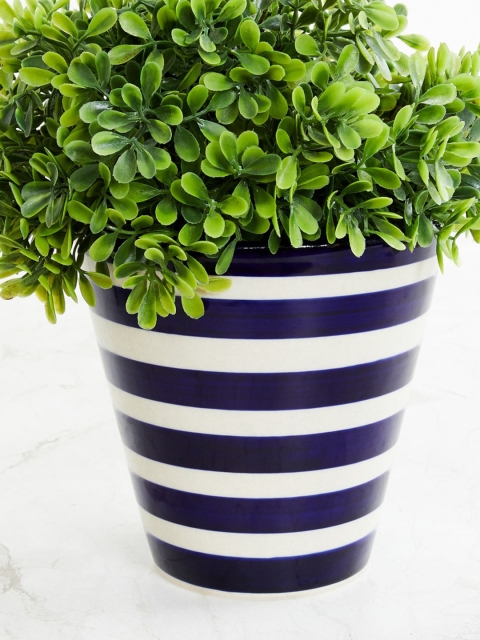 

Home Centre Blue & White Striped Ceramic Planter