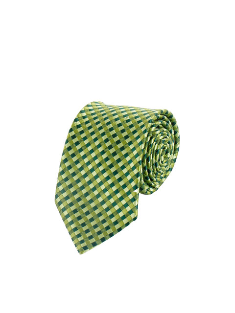 

Alvaro Castagnino Men Green Striped Skinny Tie