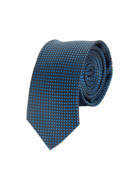 

Alvaro Castagnino Men Blue & Black Woven Design Broad Tie