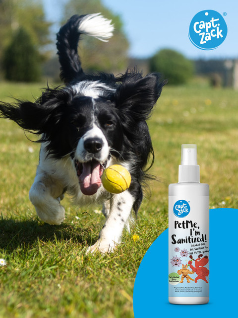 

Captain Zack PetMe, Im Sanitized Pet Sanitizer 250ml, Transparent