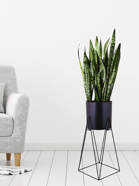 

Leafy Tales Black Solid Metal Plant Stand With Pot Holder