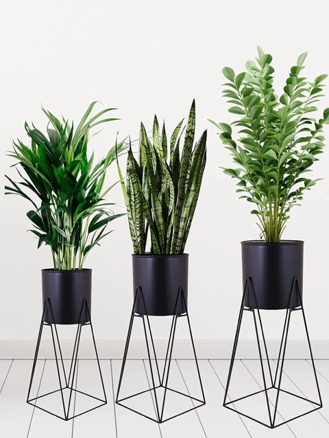 

Leafy Tales Set Of 3 Black Solid Metal Planters With Stand