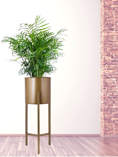 

Leafy Tales Gold-Toned Solid Plant Stand with Metal Planters Pot Holder