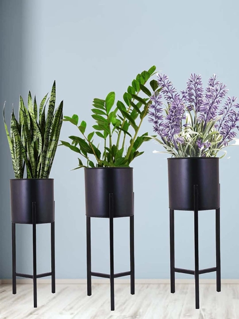 

Leafy Tales Set Of 3 Black Solid Metal Planters With Stand