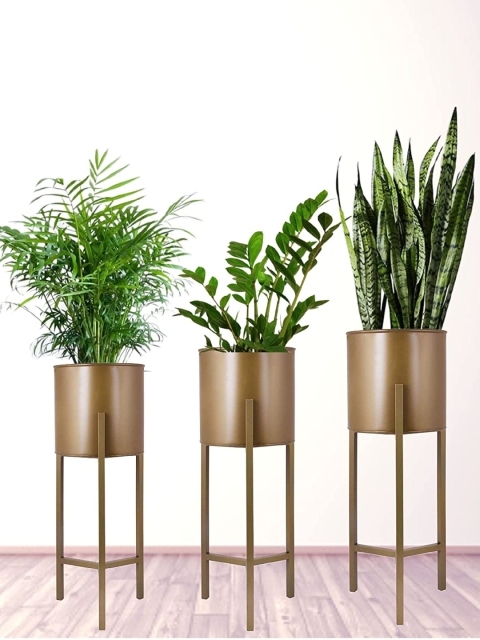 

Leafy Tales Gold-Toned Solid Plant Tri-leg Stand with Metal Planters Pot Holder
