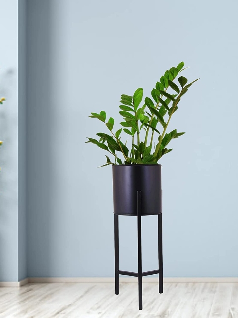

Leafy Tales Black Solid Plant Tri- Leg Stand with Metal Planters Pot Holder