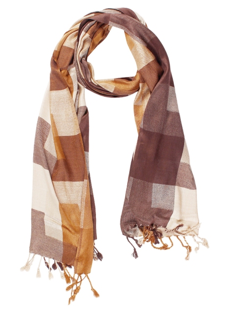 

Anekaant Brown & Beige Checked Stole