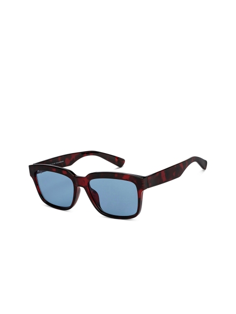 

Vincent Chase Unisex Blue Lens & Black Wayfarer Sunglasses with UV Protected Lens 151132