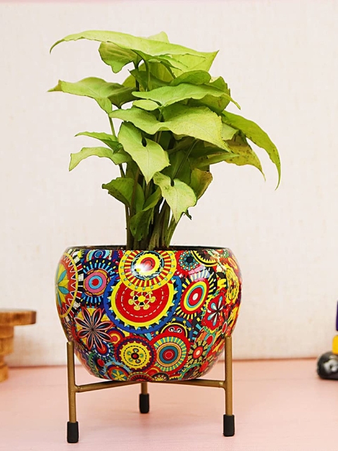 

Leafy Tales Red & Yellow Mandala Art Design Printed Planter With Stand