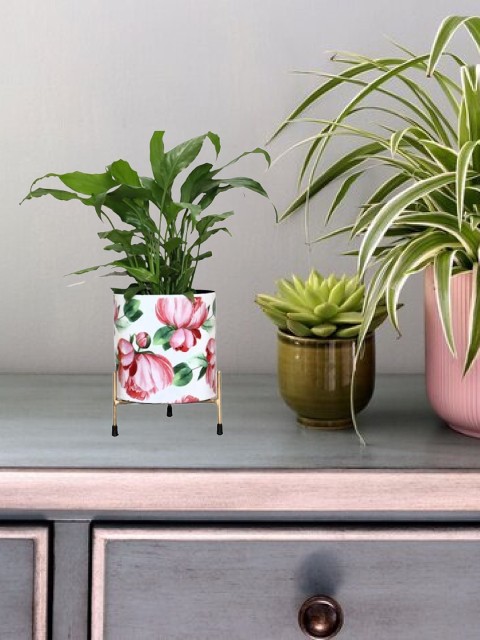 

Leafy Tales White & Red Floral Printed Designer Table Top Planter