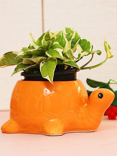 

Leafy Tales Orange Textured Turtle Shaped Ceramic Planter