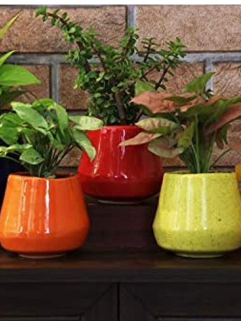 

Leafy Tales Set Of 3 Solid Planters, Orange