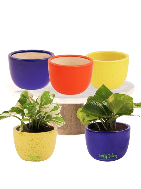

Leafy Tales Set Of 5 Solid Planters, Yellow