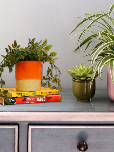 

Leafy Tales Orange & Beige Colourblocked Cylinder Shape Ceramic Planter